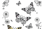 Butterflies