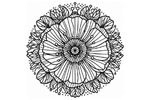 Circle Mandala